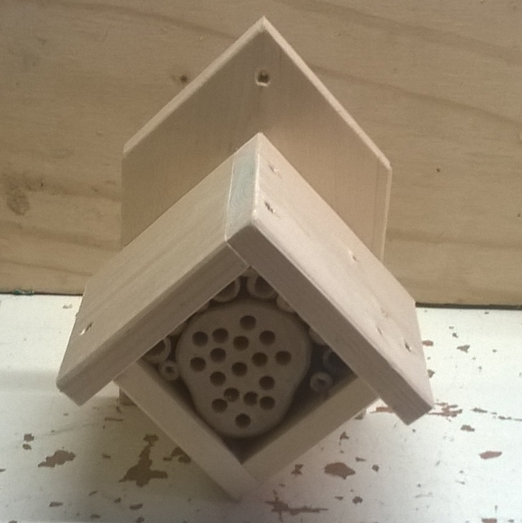 WP_20170116_14_23_21_Pro